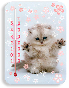 Комнатный термометр с котенком повышает производительность труда 